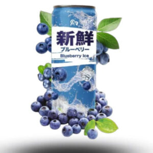 AR Fresh Blueberry Ice 24x330ml ( inklusive Pfand 6€ )