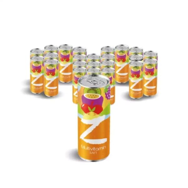 Z Multivitamin 24x330ml (inkl. 6€ Pfand)
